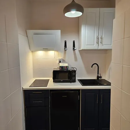 Su Casa - Rezerva Acum Spatios Ultracentral, Ceai, Cafea, Filtru Apa Rece-fierbinte, Parcare Gratuita In Zona Apartment *