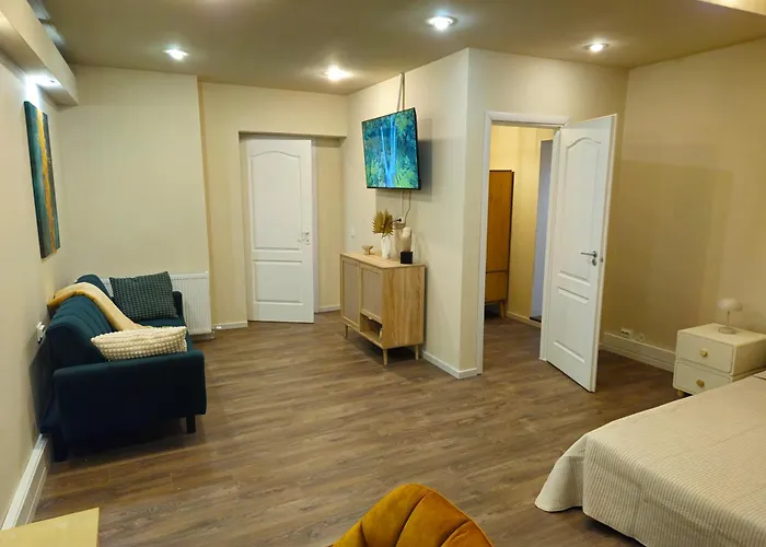 Su Casa - Rezerva Acum Spatios Ultracentral, Ceai, Cafea, Filtru Apa Rece-fierbinte, Parcare Gratuita In Zona