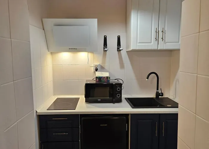 Su Casa - Rezerva Acum Spatios Ultracentral, Ceai, Cafea, Filtru Apa Rece-fierbinte, Parcare Gratuita In Zona Διαμέρισμα *